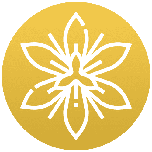 تــولید محصول